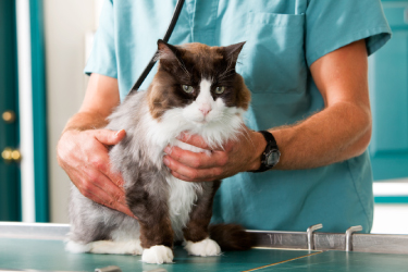 slider image 3