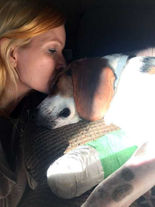 Sherry Winford-Erb - Coast to Coast Cardiology - A veterinary service