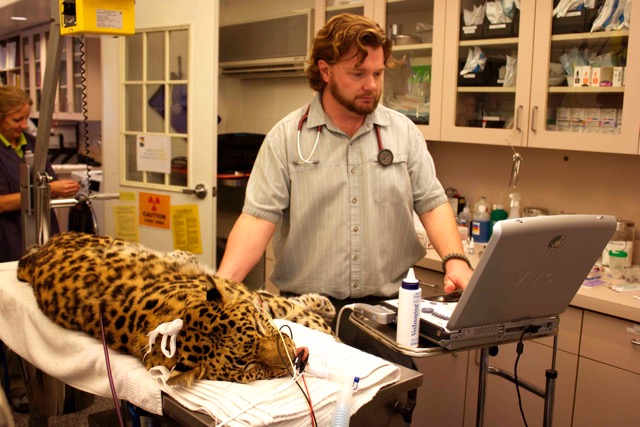 Coast to Coast Cardiology - Giving Back - Santa Barbara Zoo